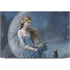 Fairy with Black Cat Sitting on Moon by Nene Thomas Dell XPS Skin