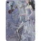 Fairy with Horse in Snow by Nene Thomas Apple iPad Air Skin