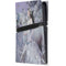 Fairy with Horse in Snow by Nene Thomas PS5 Pro Console Skin