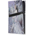 Fairy with Horse in Snow by Nene Thomas PS5 Pro Console Skin