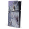 Fairy with Horse in Snow by Nene Thomas PS5 Slim Digital Edition Console Skin