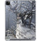 Fairy with Owl in Snow by Nene Thomas iPad Cases