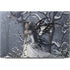 Fairy with Owl in Snow by Nene Thomas Dell XPS Skin