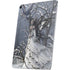 Fairy with Owl in Snow by Nene Thomas Apple iPad Air Skin
