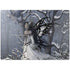 Fairy with Owl in Snow by Nene Thomas Surface Laptop 7 13.8in Skin