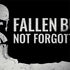 Fallen But Not Forgotten Dell Latitude Skin