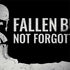 Fallen But Not Forgotten MacBook Skins