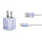 Disney Alice in Wonderland Falling down the Rabbit Hole iPhone Charger (5W USB) Skin