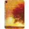 Falling Notes Apple iPad Mini Skin