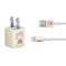 Disney Encanto Familia iPhone Charger (5W USB) Skin