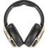 Disney Encanto Familia Skullcandy Venue Skin