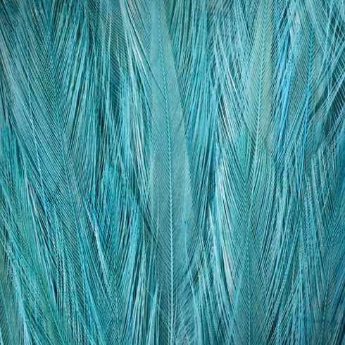 Feather Moto G6 Skin