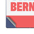 Feel The Bern Galaxy Z Fold6 Skin