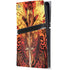 Fire Dragon by Ruth Thompson PS5 Pro Console Skin