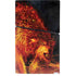 Fire Stalker Wolf by Tom Wood PS5 Slim Digital Edition Console Skin