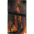 Fireball Dragon by Vincent Hie PS5 Pro Console Skin