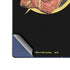 DC Comics The Flash Folded Arms Pose Galaxy Z Fold6 Skin