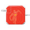 DC Comics The Flash Classic Art Pose 85W Power Adapter (15 and 17 inch MacBook Pro Charger) Skin