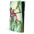 Flirting Fairy and Hummingbird by Amy Brown PlayStation PS5 Skins