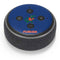 University of Florida Gators Mascot Amazon Echo Dot Skin