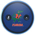 University of Florida Gators Mascot Amazon Echo Skin