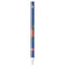 University of Florida Gators Mascot Apple Pencil (1st Gen, 2017) Skin