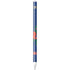 University of Florida Gators Mascot Apple Pencil (1st Gen, 2017) Skin