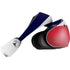 NHL Florida Panthers Alternate Jersey PlayStation VR2 Skin