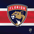 NHL Florida Panthers Alternate Jersey PS4 Console and Controller Bundle Skin