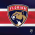 NHL Florida Panthers Alternate Jersey PS4 Pro Console Skin