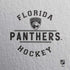 NHL Florida Panthers Black Text PS4 Console and Controller Bundle Skin