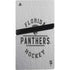 NHL Florida Panthers Black Text PS5 Pro Bundle Skin