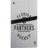 NHL Florida Panthers Black Text PS5 Pro Console Skin