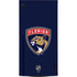 NHL Florida Panthers Distressed XBox Series X Digital Edition Console Skin