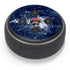 NHL Florida Panthers Frozen Amazon Echo Dot Skin