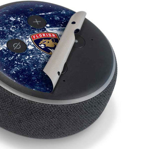 NHL Florida Panthers Frozen Amazon Echo Dot Skin