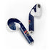 NHL Florida Panthers Frozen Apple AirPods 2 Skin