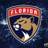 NHL Florida Panthers Frozen MacBook Skins
