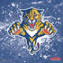 NHL Florida Panthers Frozen PS4 Controller Skin