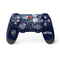 NHL Florida Panthers Frozen PS4 Controller Skin