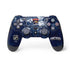 NHL Florida Panthers Frozen PS4 Controller Skin