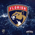 NHL Florida Panthers Frozen PS4 Pro Console Skin