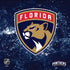 NHL Florida Panthers Frozen PS4 Slim Skin