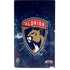 NHL Florida Panthers Frozen PS5 Slim Digital Edition Console Skin