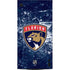 NHL Florida Panthers Frozen XBox Series X Digital Edition Console Skin