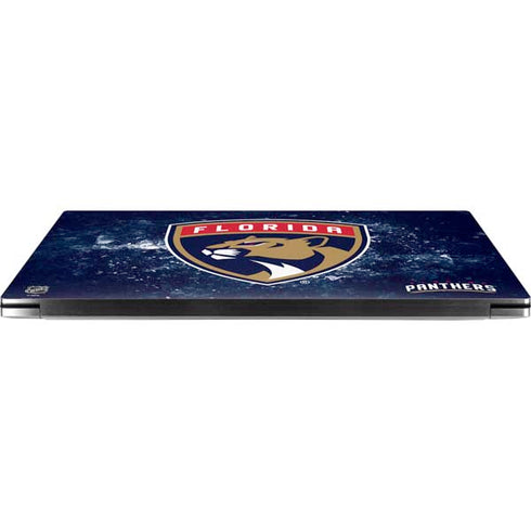 NHL Florida Panthers Frozen Dell XPS Skin