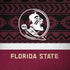 Florida State University Pattern Jersey Amazon Echo Skin