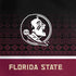 Florida State University Pattern Jersey PS4 Console and Controller Bundle Skin