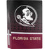 Florida State University Pattern Jersey PS5 Bundle Skin