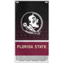 Florida State University Pattern Jersey Xbox Series S Bundle Skin